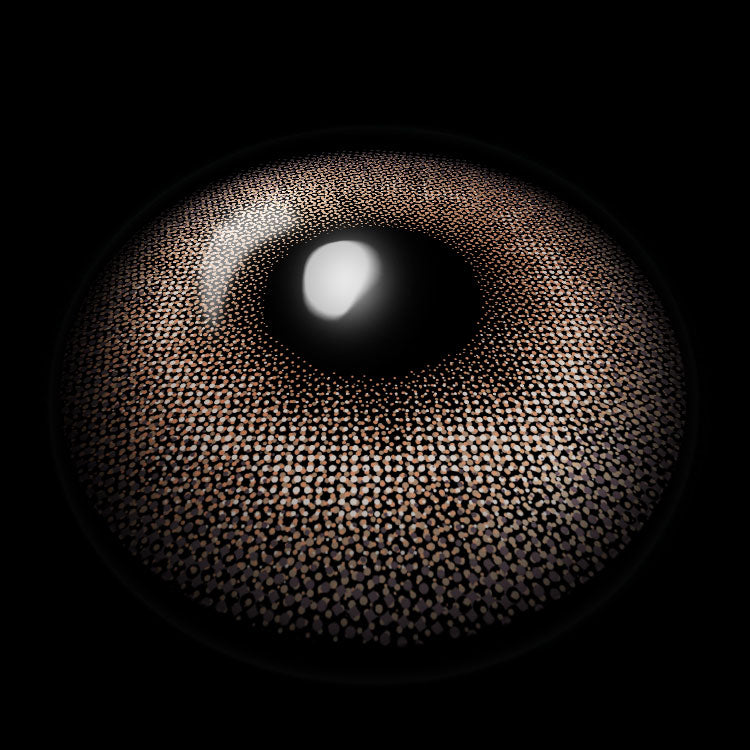 Moonbeam Brown Colored Contact Lenses 3D Display